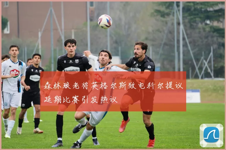 森林狼老将英格尔斯致电科尔提议延期比赛引发热议