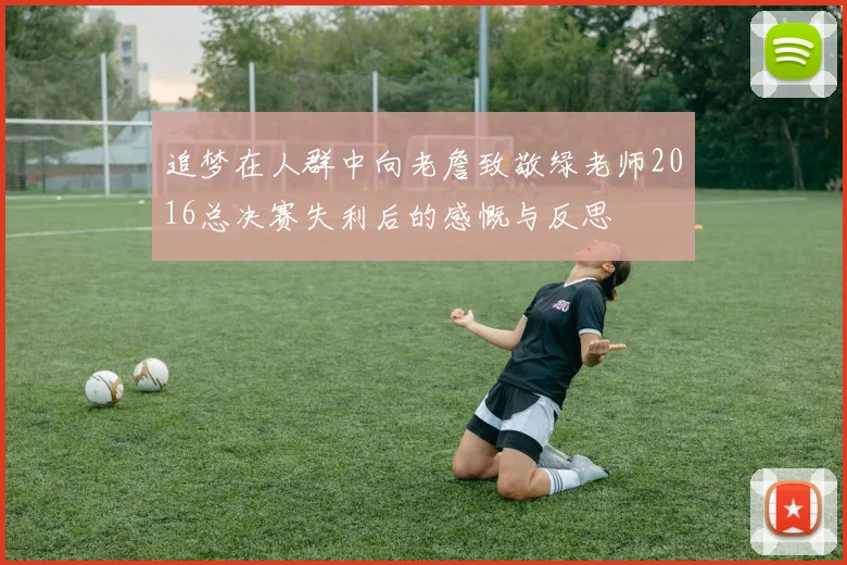 追梦在人群中向老詹致敬绿老师2016总决赛失利后的感慨与反思