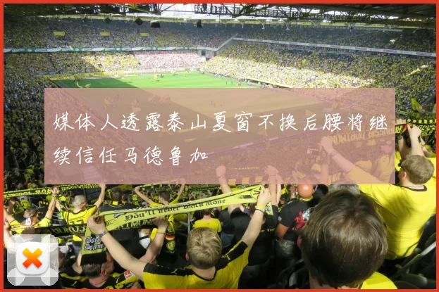 媒体人透露泰山夏窗不换后腰将继续信任马德鲁加